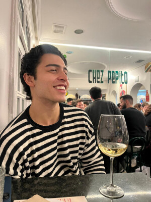 Jose Luis is looking for a Rental Property / Apartment / Studio in Delft
