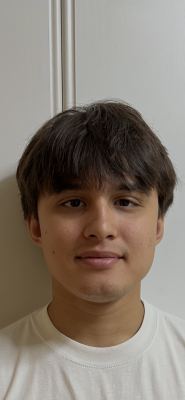 Gianluca  is looking for a Rental Property / Apartment / Studio / Room in Delft